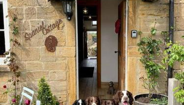 Spaniel Cottage with views of Ham hill, Stoke sub Hamdon - Foto 5