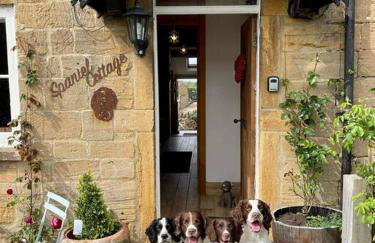 Spaniel Cottage with views of Ham hill, Stoke sub Hamdon - Photo 5