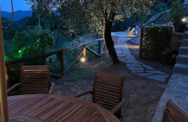 Leon Morto - Foto 40