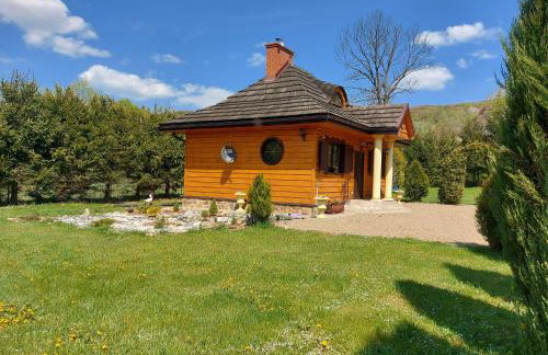 Bieszczadzki Dworek - Foto 7