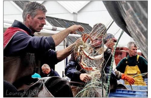 Superbe propriété bord de mer - Le Clos Ricarda - Foto 31