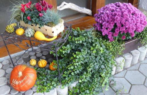 Ferienwohnung Säntisblick - Foto 22