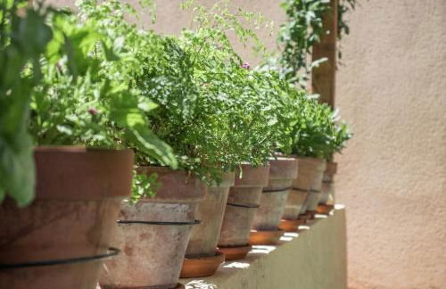 El Rinconcito de la Azohía - Foto 22