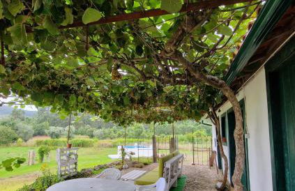 Casa do Pinheiro Manso - Foto 26