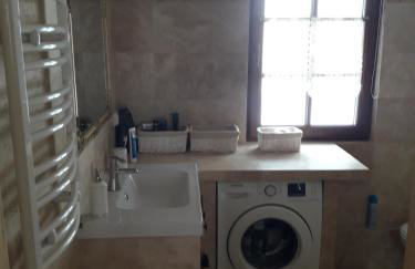 Bieszczady Chata - Foto 148