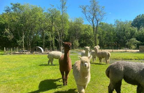 Willow Cottage - Foto 50