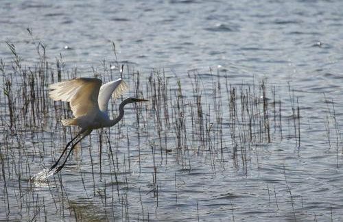 Ferienwohnungen am Federower Hofsee - Photo 25