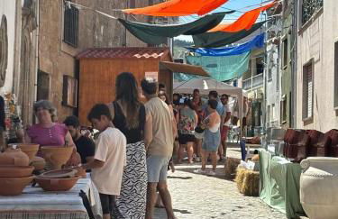 Orion Guesthouse Telhado - Foto 61