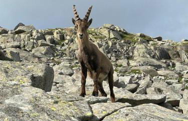 Casa Giuly Vacanze - Foto 36