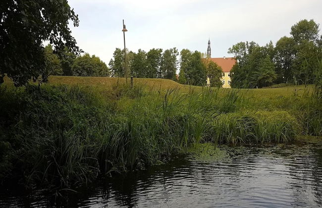 Reihenhaus in Lubben an der Spree - Foto 16