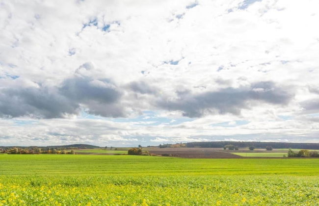 Woodland Escape With Garden - Foto 33