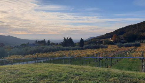 Ca' del Volo - Foto 4