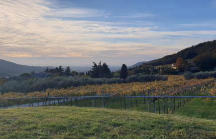 Ca' del Volo - Foto 4