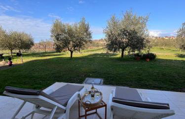 Danica & Mario Residence - Foto 23