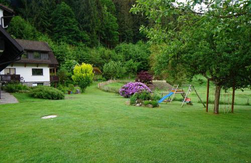 Hörnleberg - Stubenhof, Black Forest - Foto 18