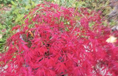 Chalet Evasion Bréda - Foto 43