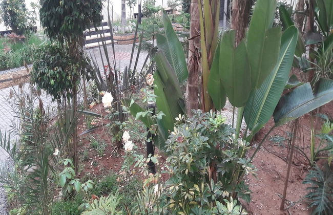 Reserve You - Photo 38