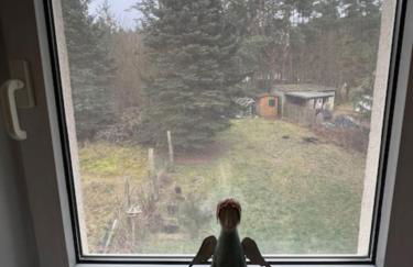 Ferienappartements am See - Foto 25