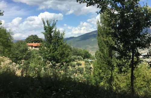 Casale degli ulivi - Foto 13