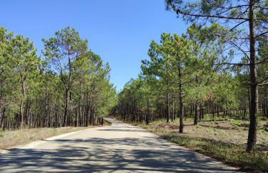 Surya's Bungalow - Foto 29