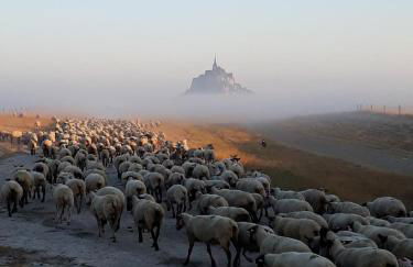 L'Hirondelle - Foto 1