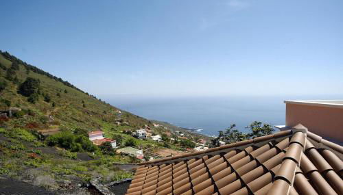 El Níspero - Foto 4