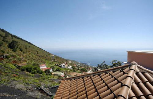 El Níspero - Foto 4