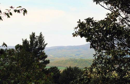 il nuvoloso - Photo 10