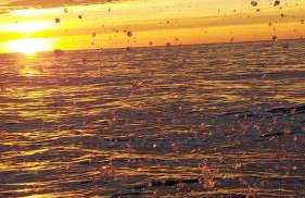 PJ Luxury Apart Sotoserena - Foto 46