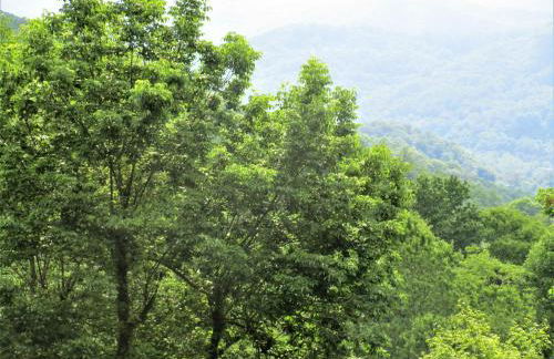 Alpine Log Cabin - Foto 51