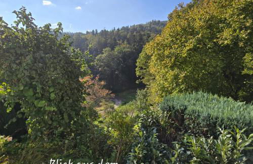 Ferienwohnung Burkhardt - Photo 10