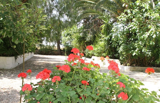 Villetta Immersa nel Verde Torre Guaceto - Foto 26