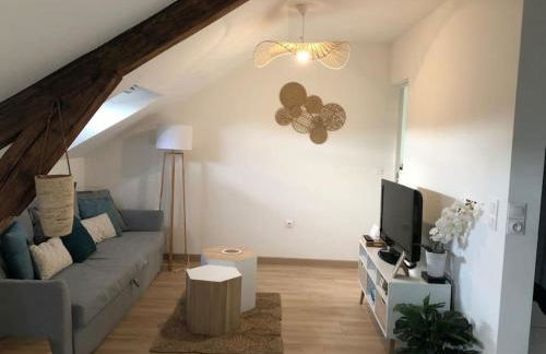 Chez Gustave charmant T2, 4 min place Ducale - Foto 23