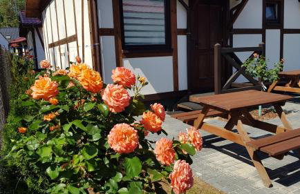 Pustkowo Domki Wakacyjne u Marka - Foto 14