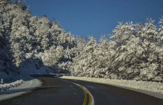 Road of the Seven Lakes + San Martin de los Andes - Foto 6