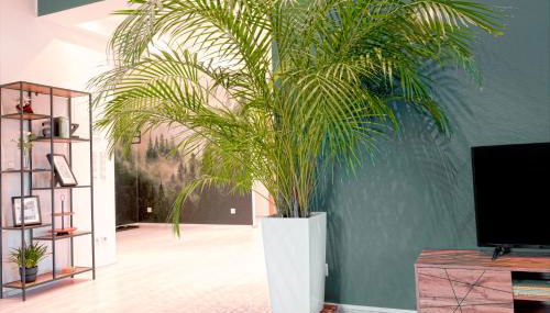 HAMA Design Homes Lippstadt - Foto 4