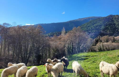 El Ático de Mijares - Foto 35