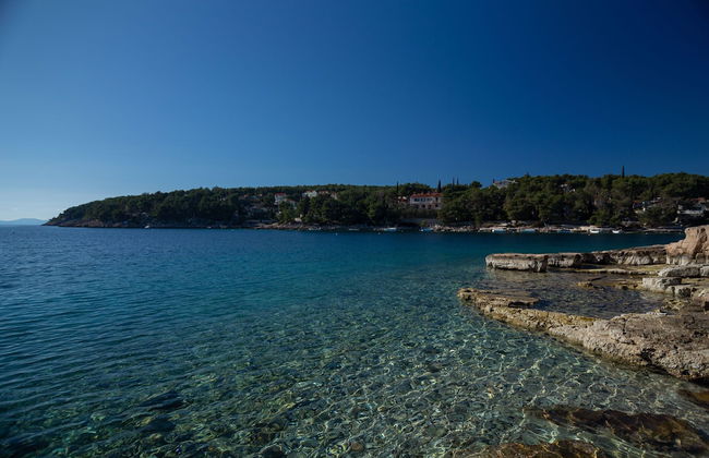 Olive Eden - Foto 31