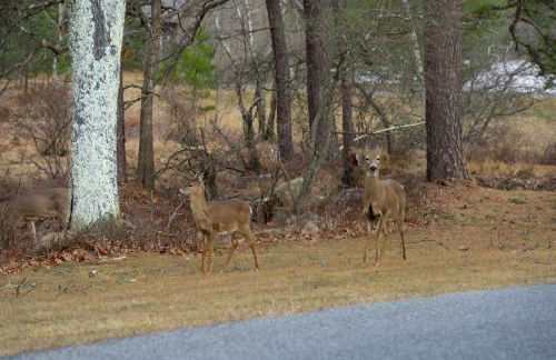 Poconos Playtime Paradise Luxury Play Escape - Foto 58