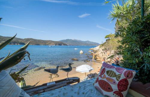 Agave direclty on the beach - Goelba - Foto 23