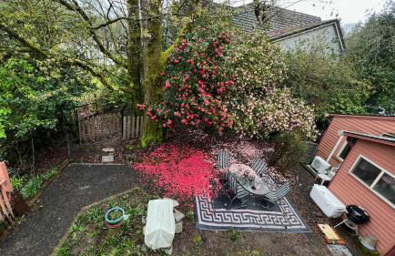 Blue Heron Sanctuary & Serene, river-front cottage - Foto 39