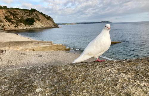 Stunning Apartment, balconies, private beach, coast path - Foto 23