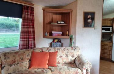 The Duck - Free Fishing, pets welcome - static caravan in Clare, Suffolk - Foto 4