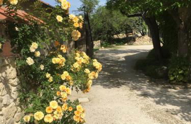 Les Juliens - Foto 19