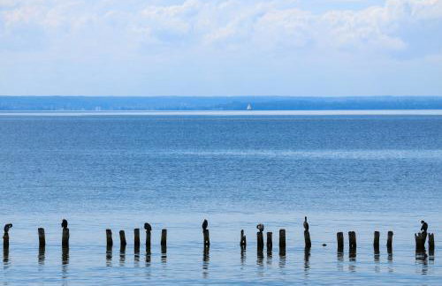 Apartament Komandorski przy Aquaparku - Foto 11