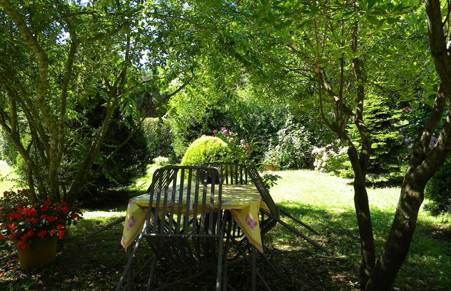 Podere Campofossato - Photo 42