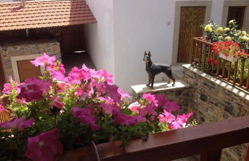 Solar de Rabal - Foto 38