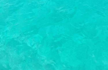 LOCATION CORSE - Foto 10