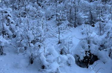 Maison Jacquemin - Foto 21