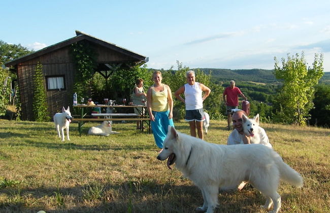 Müllers Ferienhaus Waldhof - Photo 41